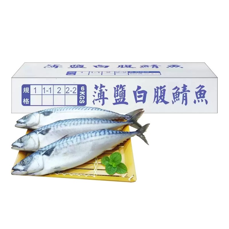 冷凍薄鹽白腹鯖魚 6公斤