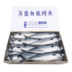 冷凍薄鹽白腹鯖魚 6公斤