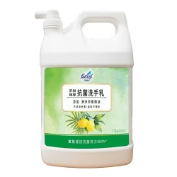 花仙子 茶樹檸檬抗菌洗手乳 3.8公升