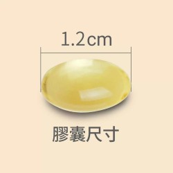 澳佳寶 大蒜精 膠囊食品 90顆 X 3瓶